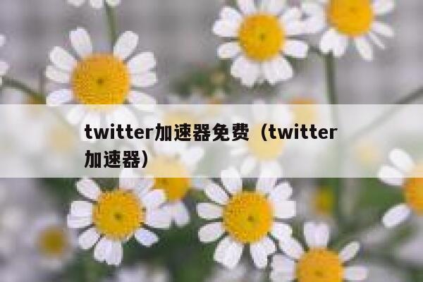 twitter加速器免费（twitter加速器） 第1张