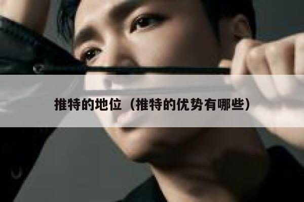 推特的地位（推特的优势有哪些） 第1张