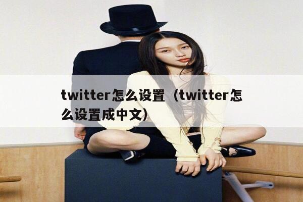 twitter怎么设置（twitter怎么设置成中文） 第1张