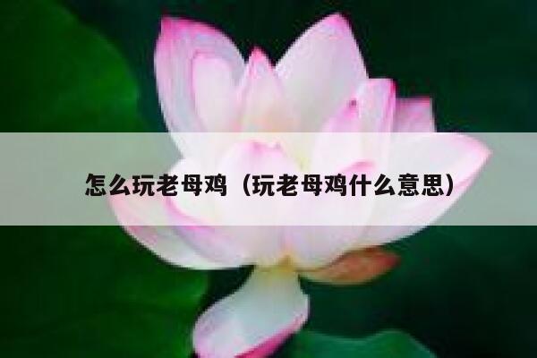 怎么玩老母鸡（玩老母鸡什么意思） 第1张