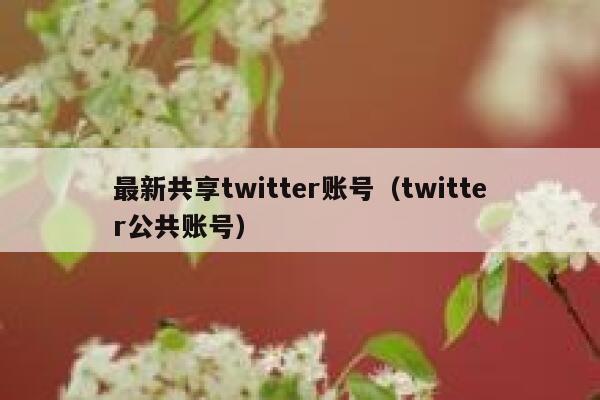 最新共享twitter账号（twitter公共账号） 第1张