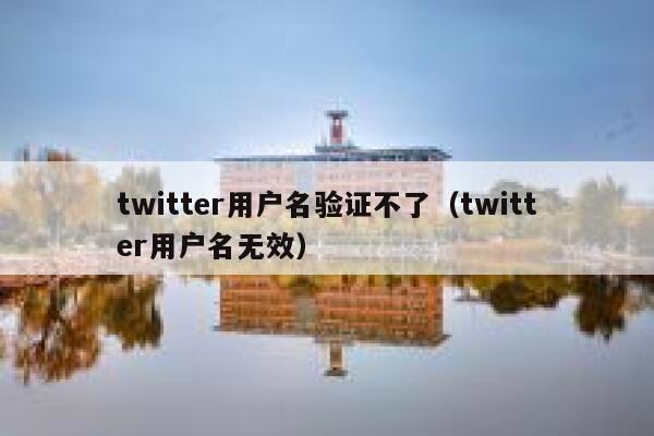 twitter用户名验证不了（twitter用户名无效） 第1张