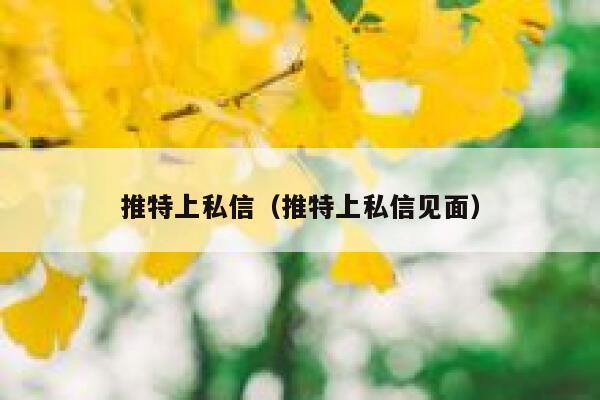 推特上私信（推特上私信见面） 第1张