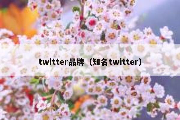 twitter品牌（知名twitter） 第1张