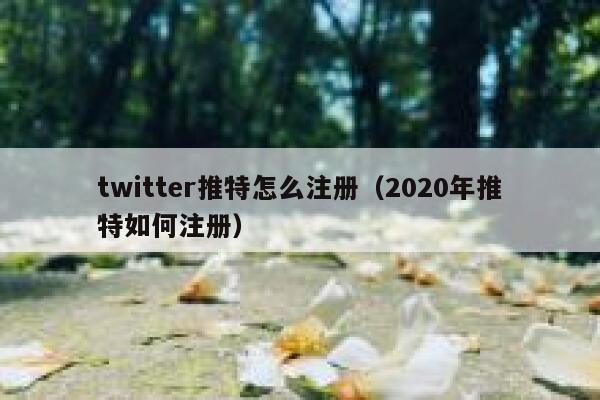 twitter推特怎么注册(2020年推特如何注册) 第1张 twitter推特怎么注册(2020年推特如何注册) 第1张