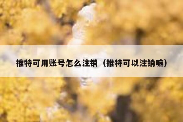 推特可用账号怎么注销（推特可以注销嘛） 第1张