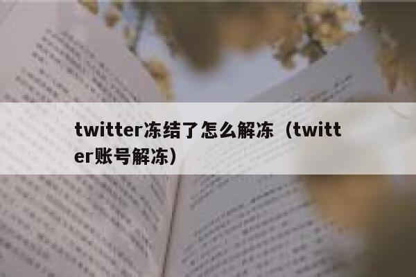 twitter冻结了怎么解冻（twitter账号解冻） 第1张