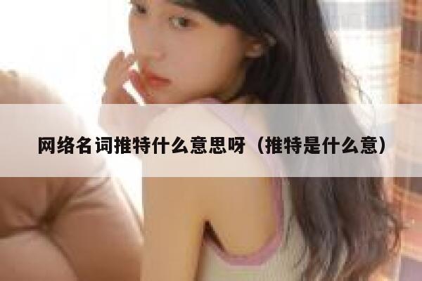网络名词推特什么意思呀（推特是什么意） 第1张