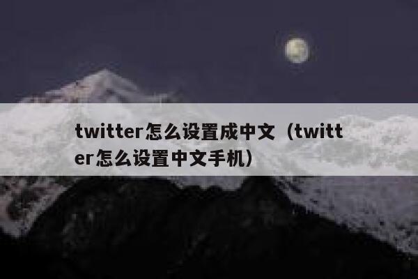 twitter怎么设置成中文(twitter怎么设置中文手机) 第1张 twitter怎么设置成中文(twitter怎么设置中文手机) 第1张