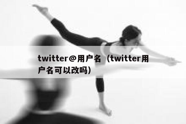 twitter@用户名（twitter用户名可以改吗） 第1张