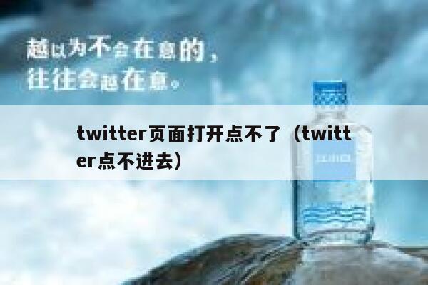 twitter页面打开点不了（twitter点不进去） 第1张
