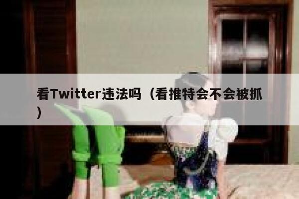 看Twitter违法吗（看推特会不会被抓） 第1张