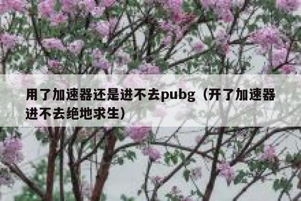 用了加速器还是进不去pubg（开了加速器进不去绝地求生） 第1张