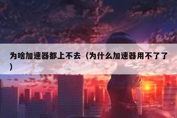为啥加速器都上不去（为什么加速器用不了了） 第1张