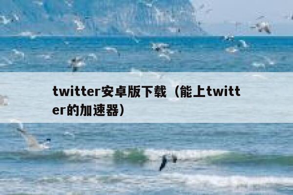twitter安卓版下载(能上twitter的加速器) 第1张 twitter安卓版下载(能上twitter的加速器) 第1张