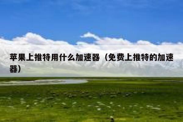 苹果上推特用什么加速器（免费上推特的加速器） 第1张