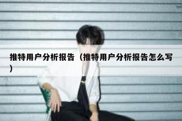 推特用户分析报告（推特用户分析报告怎么写） 第1张