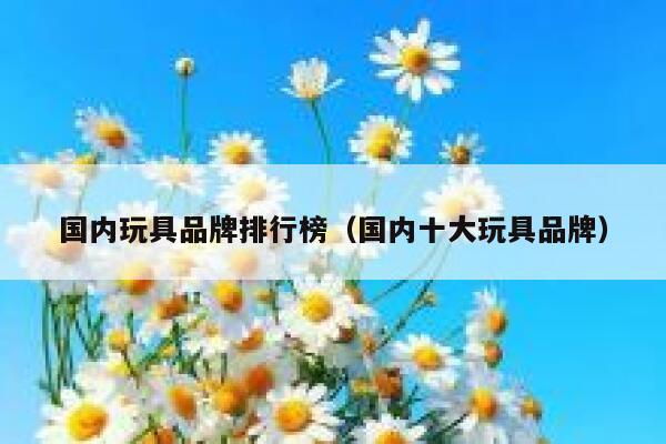 国内玩具品牌排行榜（国内十大玩具品牌） 第1张