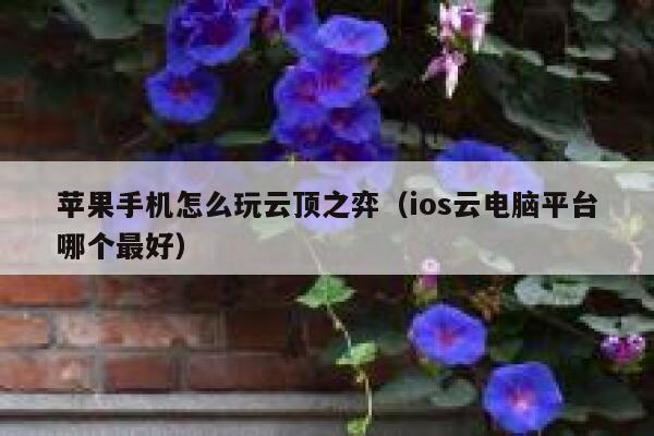 苹果手机怎么玩云顶之弈(ios云电脑平台哪个最好) 第1张 苹果手机怎么玩云顶之弈(ios云电脑平台哪个最好) 第1张