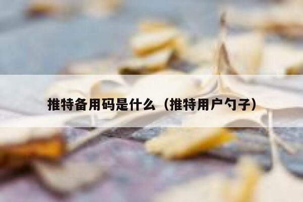 推特备用码是什么（推特用户勺子） 第1张