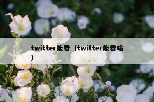 twitter能看(twitter能看啥) 第1张 twitter能看(twitter能看啥) 第1张