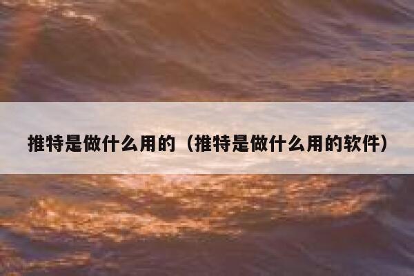 推特是做什么用的（推特是做什么用的软件） 第1张