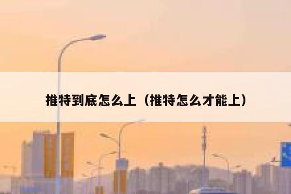 推特到底怎么上（推特怎么才能上） 第1张