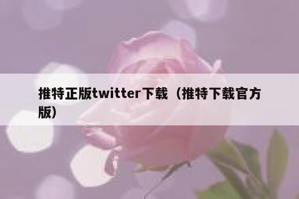 推特正版twitter下载（推特下载官方版） 第1张