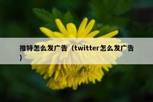推特怎么发广告（twitter怎么发广告） 第1张