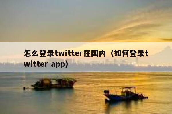 怎么登录twitter在国内（如何登录twitter app） 第1张