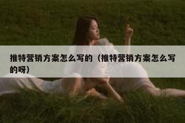 推特营销方案怎么写的（推特营销方案怎么写的呀） 第1张