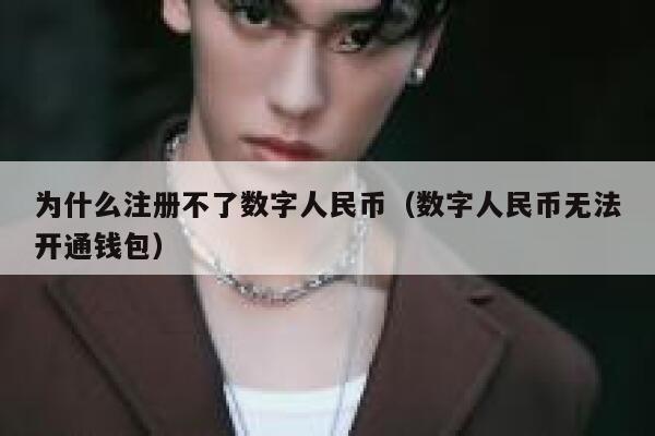 为什么注册不了数字人民币（数字人民币无法开通钱包） 第1张