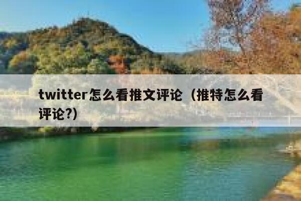 twitter怎么看推文评论（推特怎么看评论?） 第1张