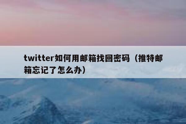 twitter如何用邮箱找回密码（推特邮箱忘记了怎么办） 第1张
