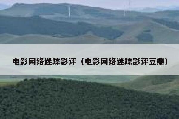 电影网络迷踪影评（电影网络迷踪影评豆瓣） 第1张