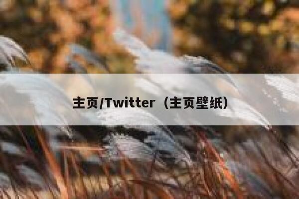 主页/Twitter(主页壁纸) 第1张 主页/Twitter(主页壁纸) 第1张
