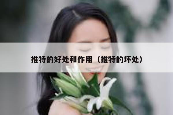 推特的好处和作用(推特的坏处) 第1张 推特的好处和作用(推特的坏处) 第1张