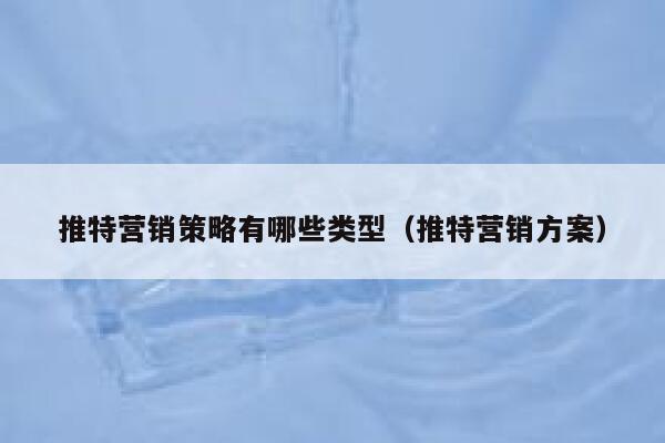 推特营销策略有哪些类型（推特营销方案） 第1张