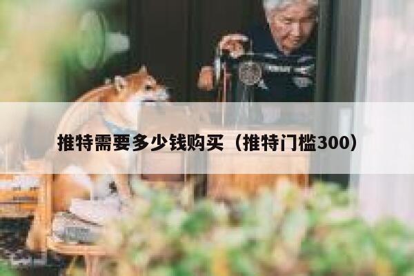 推特需要多少钱购买（推特门槛300） 第1张