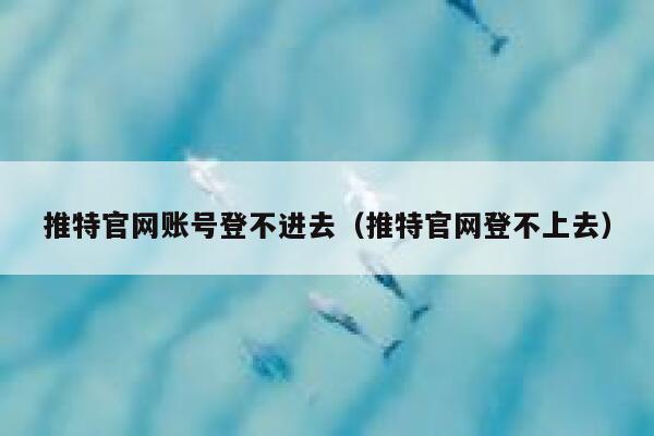 推特官网账号登不进去（推特官网登不上去） 第1张