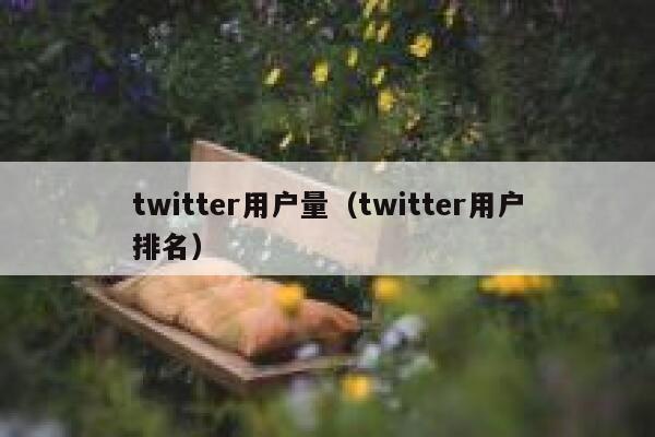 twitter用户量(twitter用户排名) 第1张 twitter用户量(twitter用户排名) 第1张