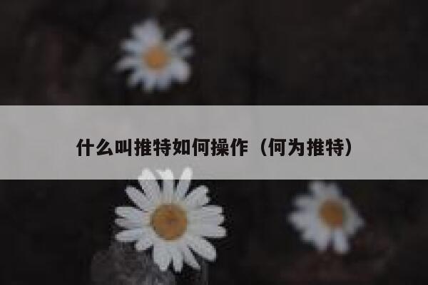 什么叫推特如何操作（何为推特） 第1张