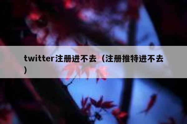 twitter注册进不去（注册推特进不去） 第1张
