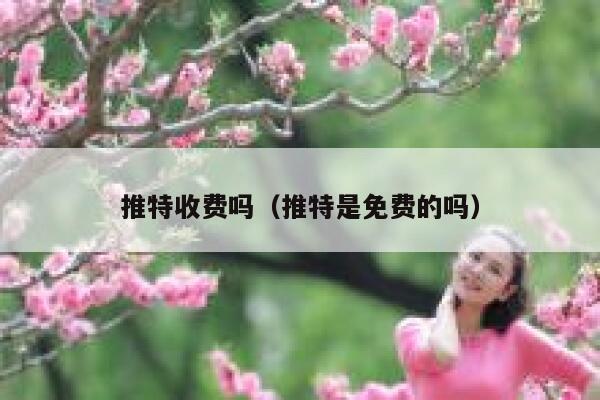推特收费吗（推特是免费的吗） 第1张