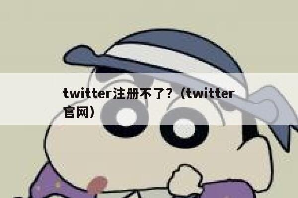 twitter注册不了?（twitter官网） 第1张