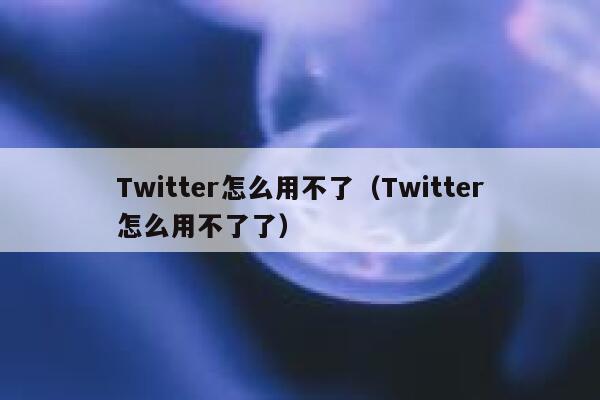 Twitter怎么用不了（Twitter怎么用不了了） 第1张