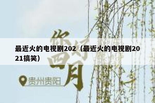 最近火的电视剧202（最近火的电视剧2021搞笑） 第1张