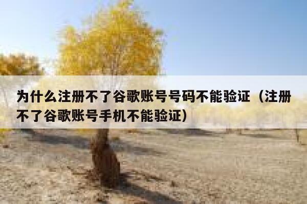 为什么注册不了谷歌账号号码不能验证（注册不了谷歌账号手机不能验证） 第1张