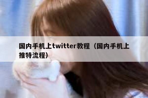 国内手机上twitter教程（国内手机上推特流程） 第1张