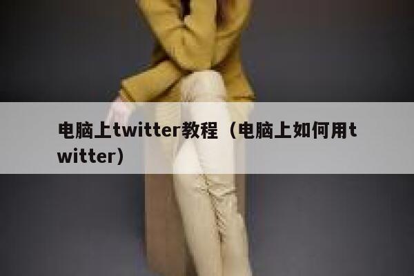 电脑上twitter教程（电脑上如何用twitter） 第1张